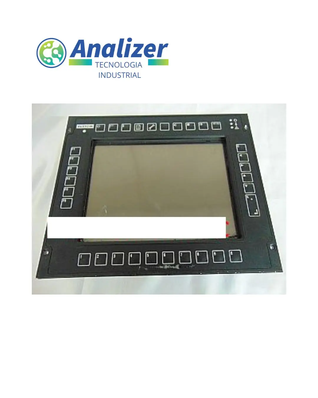 ASSISTÊNCIA PAINEL ALSTON BRASIL